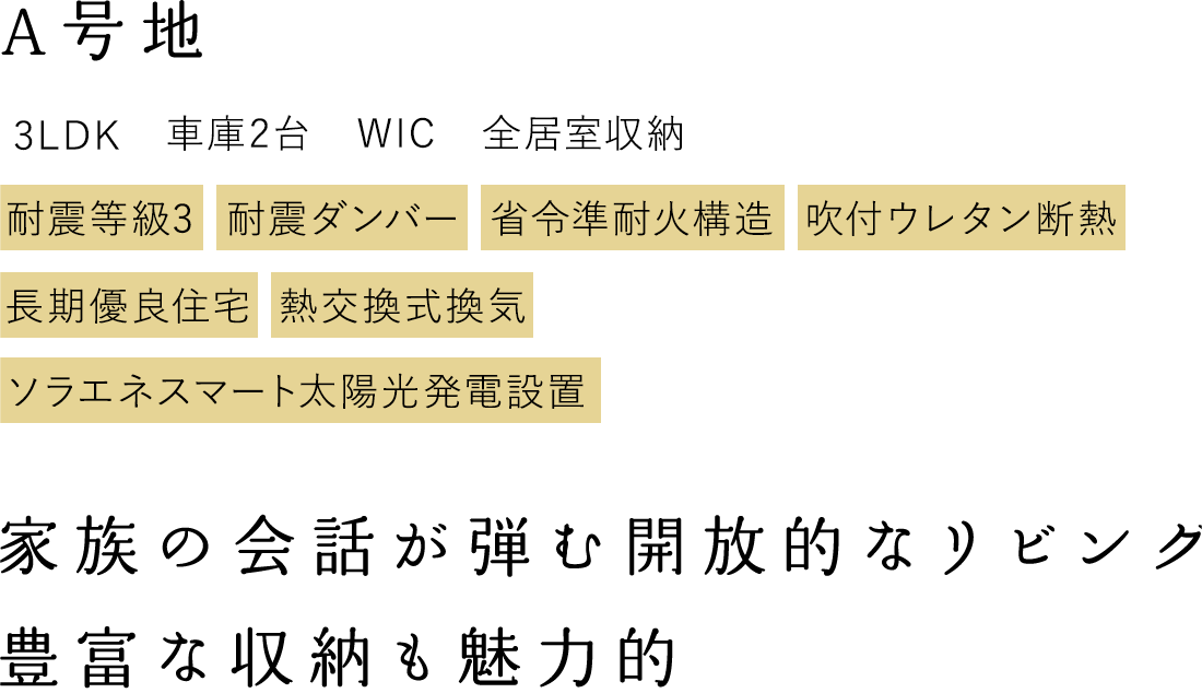 A号地 家族の会話が弾む開放的なリビング 豊富な収納も魅力的