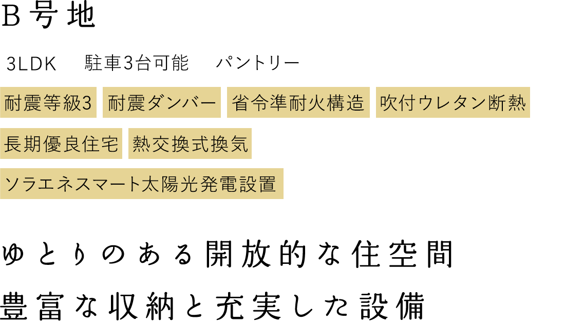 B号地 ゆとりのある開放的な住空間 豊富な収納と充実した設備