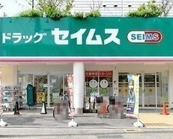 ドラッグセイムス 堺東湊店